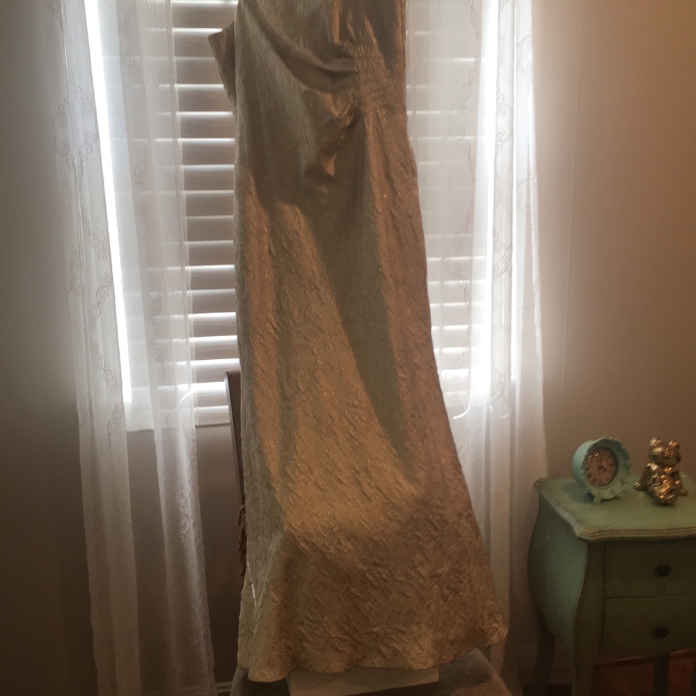 JR Nites Formal  Gown Size 12